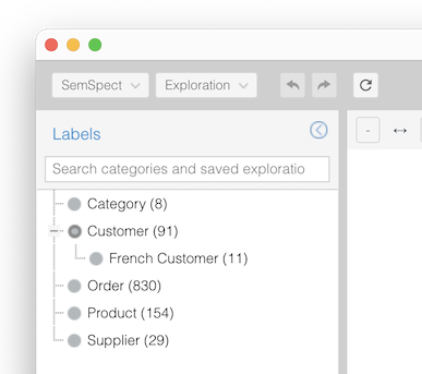 SemSpect sub-category French Customer